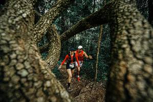 BIB: 
                            <button type="button" onclick="openModal(25703318)" class="btn btn-primary btn-sm float-right btn-popup" data-toggle="modal" data-target=".modal-high-quality">
                        <i class="fas fa-shopping-cart"></i> Add to Cart
                    </button>
                                            <button type="button" onclick="isThisMe(25703318, true)" class="btn btn-success btn-sm float-right btn-popup btn-isme hidden" data-toggle="tooltip" data-placement="bottom" title="นี่คือรูปของคุณใช่ไหม คลิกที่นี่เพื่อเอาเข้าอัลบั้ม">
                        <i class="fas fa-plus"></i> Add to album
                    </button>
                    <button type="button" onclick="isThisMe(25703318, false)" class="btn btn-warning btn-sm float-right btn-popup btn-isnotme hidden">
                        <i class="fas fa-ban"></i> Remove from album
                    </button>